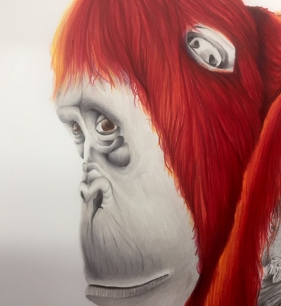 Original drawing detail Orangutan.jpg