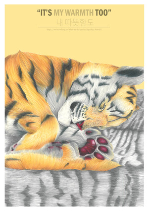 poster tiger.jpg